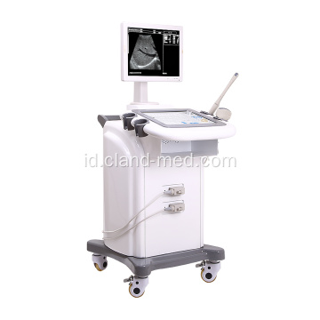 B / W Trolley Ultrasound Scanner Mesin Ultrasound Harga Bagus